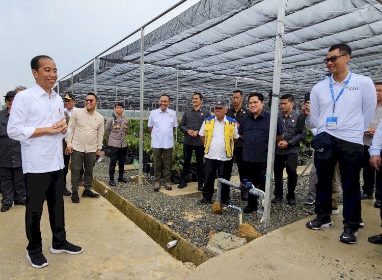 Presiden: Memanfaatkan Potensi Energi Baru dan Terbarukan Sebagai Sumber Energi di IKN