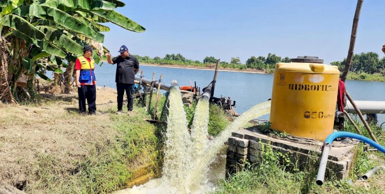 Manfaat Pompanisasi Bagi Petani NTB, Alhamdulillah Produksi Naik Tinggi