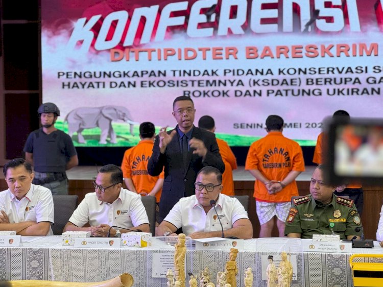 Dittipidter Bareskrim Polri Ungkap Perdagangan Ilegal Gading Gajah di Sukabumi dan Jakarta