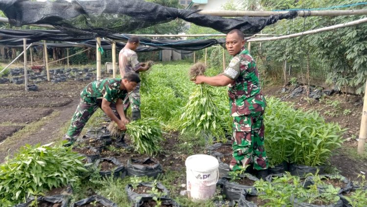 Kodim 0501/JP Sukses Budidayakan Sayur Mayur di Lahan Urban Farming