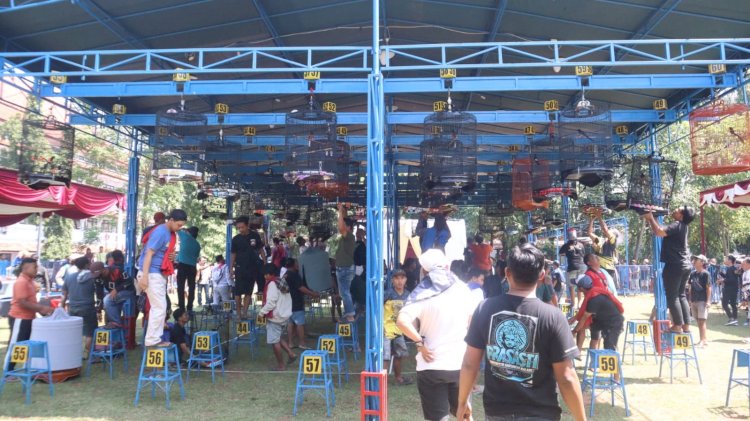 Semarakan Hari Bhayangkara ke-79, Ratusan Kicau Mania Ramaikan Lomba Burung Berkicau Kapolres Cup Pekalongan 3